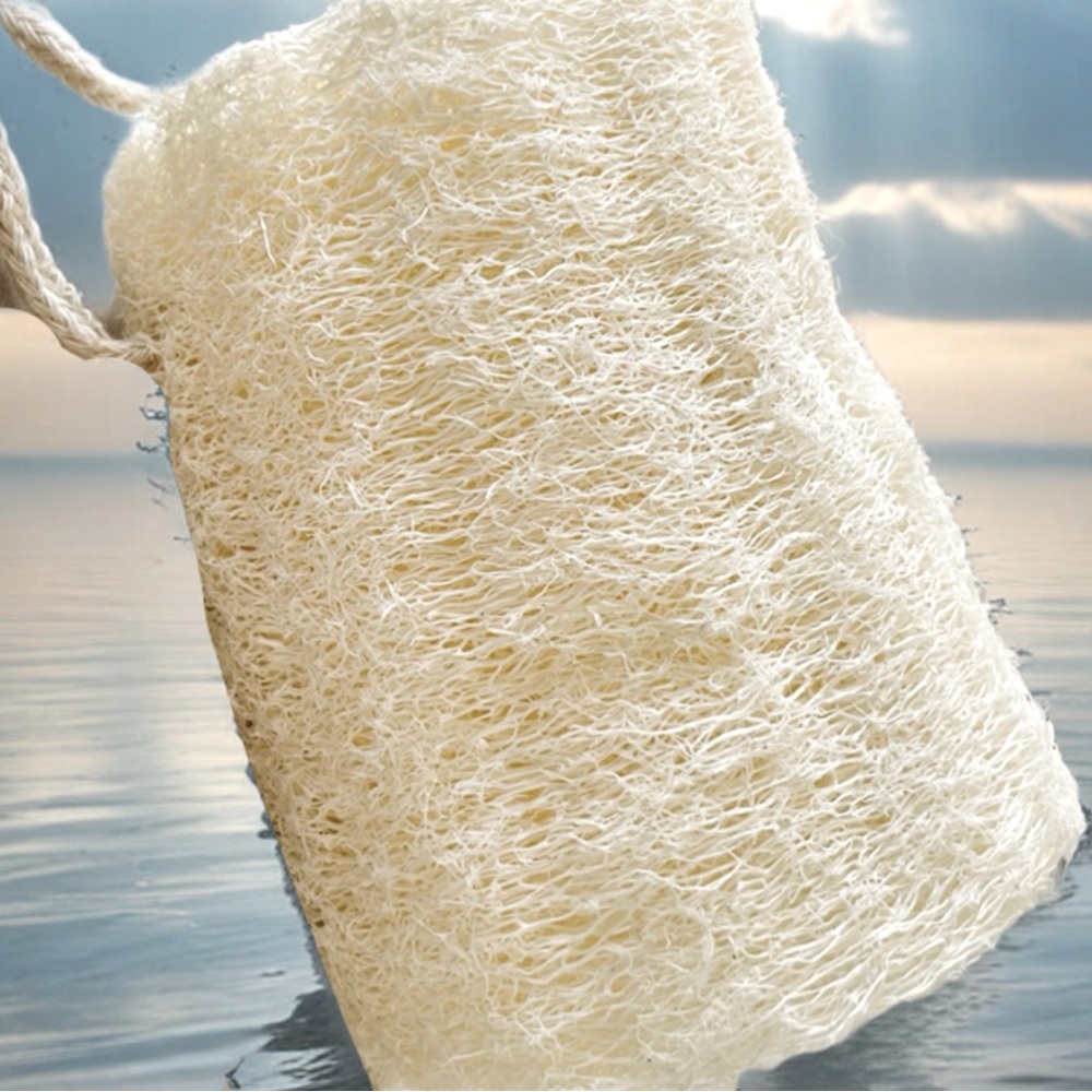 Loofah